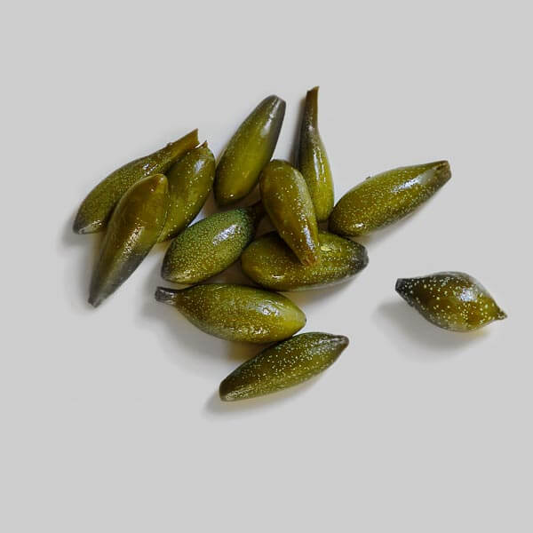 Αγκουράκια